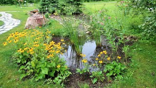 GIARDINO ANTIALLUVIONE 🌧️🌳💧raingarden garden gardenideas rainbarrel [upl. by Yeh]