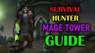 Survival Hunter  Mage Tower  Guide  Voice  Dragonflight Season 4 1027 [upl. by Austen]