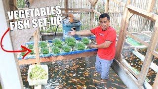 BUILDING HYDROPONICS COLORED FISH TANK SETUP [upl. by Enihpesoj]