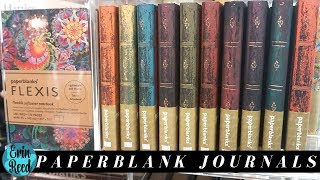 Paper Blanks amp PaperOh Journal Review [upl. by Haile]