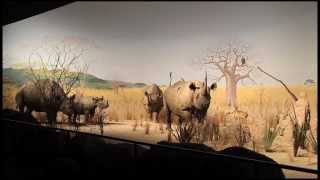 Taxidermists  Documentary Trailer Featuring MPM Taxidermist Wendy Christensen [upl. by Sacci]