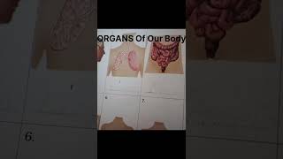 What are organ body Adityakumar [upl. by Ihp114]