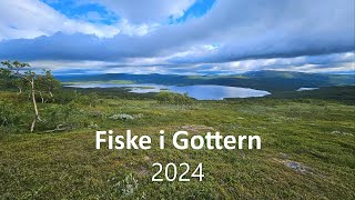 Fiske i Gottern Kittelfjäll 2024 [upl. by Aggappera291]