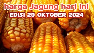 Harga Jagung Hari Ini Edisi 29 Oktober 2024 [upl. by Aiela]