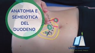 DUODENO  SEMEIOTICA E ANATOMIA PALPATORIA [upl. by Nylave347]