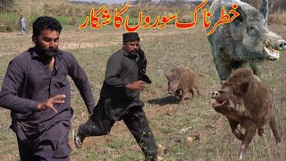 Dogs Save Cameramen from Wild Boar Attack  quotClose Encounnter Wild Boar Charges Camera Manquot in 4k [upl. by Judon]