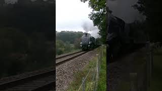 60007 Sir Nigel Gresley and 34059 Sir Archibald Sinclar chugging along near Horsted Keynes 131024 [upl. by Etteoj]