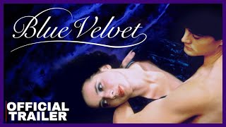 BLUE VELVET 1986 Official Trailer and Movie Breakdown  Crime  Kyle MacLachlan [upl. by Camilia261]