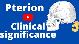 Pterion  pterion and its importance  middle meningeal artery  epidural hemorrhage  pterion [upl. by Magen870]