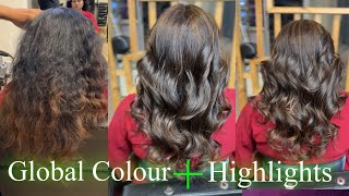 How To  Global Hair Colour Plus Highlights Tutorial  Highlights Colour Tutorial  Loreal 125 123 [upl. by Yetta]