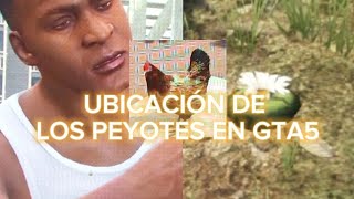 UBICACIÓN DE LOS PEYOTES EN GTA 5 part5 [upl. by Ardnuat]