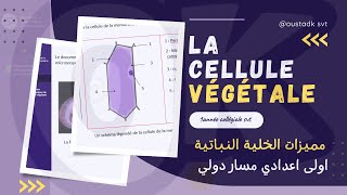 1AC SVT  Observation dune cellule végétale [upl. by Ellenuahs]