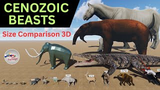 CENOZOIC BEASTS Size Comparison 3D 🐳🐬🦭🐟🐠🐡🦈🐙🐚🐋🦑 [upl. by Let526]