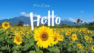 Hello by Fred Engay Official Lyric Video [upl. by Aidekal]