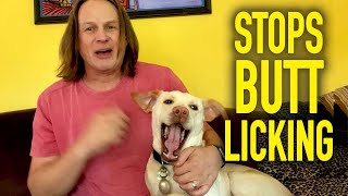 Fix Your Dogs Anal Sacs  WITHOUT Touching Them [upl. by Enirual]