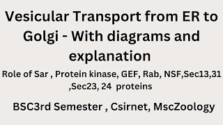 Vesicular transport from ER to Golgi  Bsc3rd Semester msczoology csirnet cell biology [upl. by Nayr]