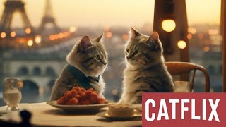 Catflix Commercial [upl. by Arehahs577]