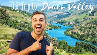 Douro Valley Vlog  Douro River Cruise and Wine Tasting [upl. by Ardnoyek]