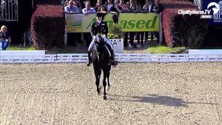 Kristina Sprehe  Desperados FRH  CDI4  Horses amp Dreams meets Brazil  2014 [upl. by Heringer]