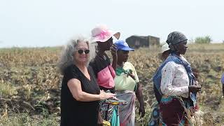 Anabela Lemos A Lifelong Commitment to Justice and Change in Mozambique [upl. by Volin]