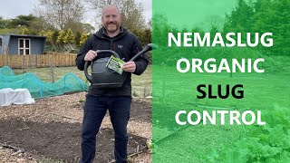 Nemaslug  Using Nematodes  Quick and Effective Organic Slug Control [upl. by Llenoil]