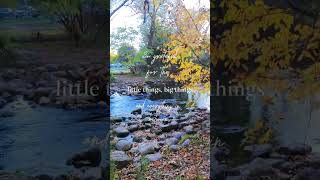 Lowville park milton viralvideo viralshorts fallleaves autumncolors love beautiful canada [upl. by Nickolaus]