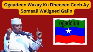 Ogaadeen Waxay Ku Dheceen Ceeb Ay Somaali Waligeed Galin Sh Xassaan Abu Salmaan [upl. by Viridi585]