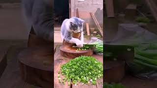 most beautiful Cat Take Care Baby shorts foryou waz gojol subscribe cutecat alifunbaa cute [upl. by Doig761]