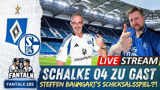 HSV  Schalke 04  Die Woche der Wahrheit  Baumgarts Schicksalsspiel 💙🤍🖤 HSV Fantalk 195 [upl. by Tabor]