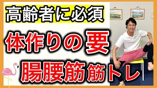 【人体の要】体作りで欠かせない腸腰筋の2種類のトレーニング（座位と立位が選べる） [upl. by Ahsiekahs]