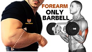 5 BEST Exercises for Bigger Forearms Workout With Barbell Only [upl. by Alidis]