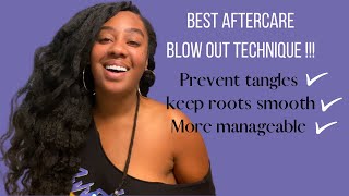 Want a LASTING BLOWOUT DO THIS Keep Roots SMOOTH amp TANGLE FREE🤯 [upl. by Gerry690]