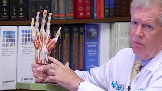 Keith D Morrison MD Discusses his Role as an Orthopaedic Hand Surgeon [upl. by Anayt750]