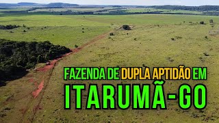 FAZENDA DE DUPLA APTIDÃƒO Ã€ VENDA EM GOIÃS FAZENDA DE OPORTUNIDADE [upl. by Ycak]