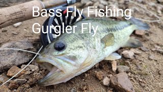 Bass Fly Fishing  Gurgler Fly 배스 플라이낚시 [upl. by Mallin]