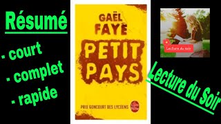 Résumé court et complet de Petit Pays Gaël Faye [upl. by Enaillil]