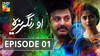 O Rungreza Episode 01 HUMTV Drama [upl. by Ahseinaj13]