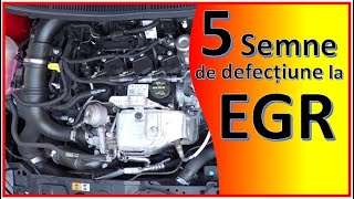 5 semne de EGR defect [upl. by Gaultiero]