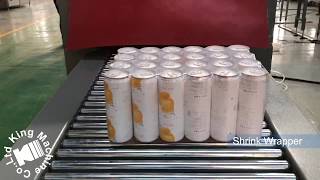 Complete Can Beverage Production Line [upl. by Ellekcim575]