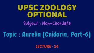 UPSC ZOOLOGY OPTIONAL  NonChordata  Lec24  Aurelia Cnidaria Part6  IAS I FS  Dr RKSir [upl. by Anohr]