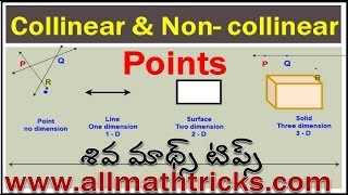 Collinear points and non collinear points in telugu  point geometry  Geometry Basics in telugu [upl. by Ellora]