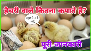 हैचरी वाले कितना कमाते है  पूरी जानकारी  Hatchery wale kitna kamate hai  Hatchery Business info [upl. by Sirrad849]