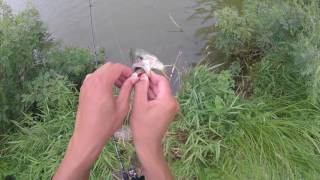 Fishing at Willmar Lake in Willmar Minnesota 7 25 17 [upl. by Lasky]