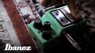 Ibanez TS9 Tube Screamer [upl. by Cottrell40]