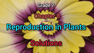 Reproduction in Plants  Grade 7  Chapter8  Solutions  NCERT reproductioninplants science cbse [upl. by Shelton]