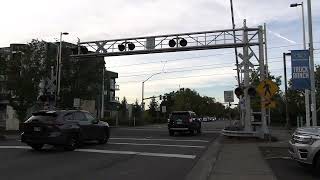 Trimet 523 and 239 HallWatson Ave RR Crossing North Side Beaverton OR [upl. by Onabru658]