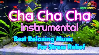 Cha Cha Cha Melody 2024  Best Relaxing Instrumental Music For Stress Relief Beautiful Aquatic [upl. by Cordi]