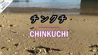 CHINKUCHI Innermost secrets [upl. by Auvil]