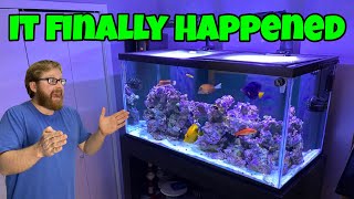 QUARANTINE IS OVER New Colorful Saltwater Fish Moving To Reef Aquarium [upl. by Neeluj]