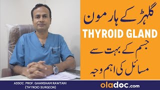 Thyroid Kya Hai  Thyroid Ke Bardhte Levels  Symptoms and Treatment  Thyroid Diseases [upl. by Mulac944]